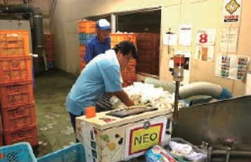 ❶おしぼり選別